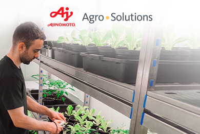 ajinomoto-agro-solutions-elige-tecnología-bpms-auraquantic-gestión-cae-proyectos-industriales