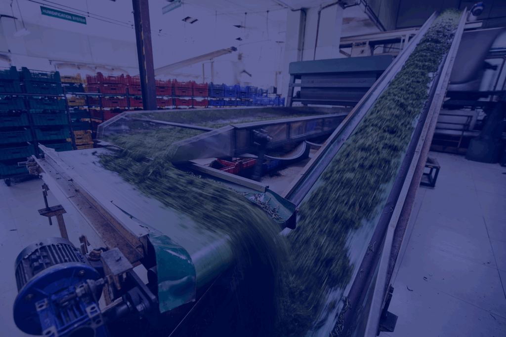 webinar-gestión-productos-industria-agroalimentaria