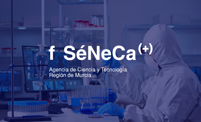 Fundación séneca